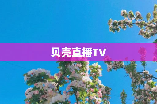 贝壳直播TV