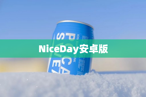 NiceDay安卓版