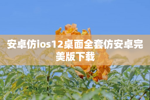 安卓仿ios12桌面全套仿安卓完美版下载