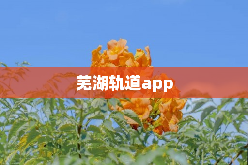 芜湖轨道app