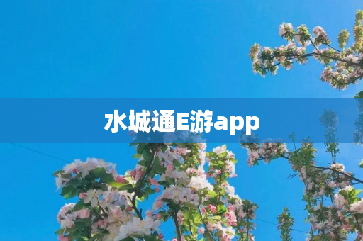 水城通E游app