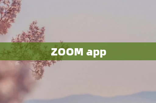 ZOOM app