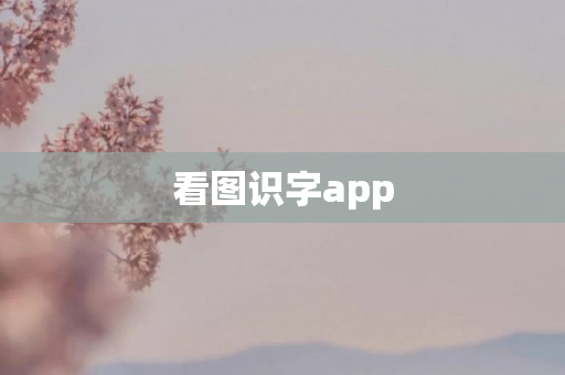 看图识字app
