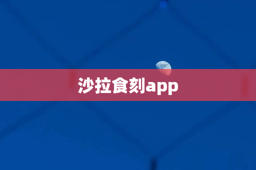 沙拉食刻app