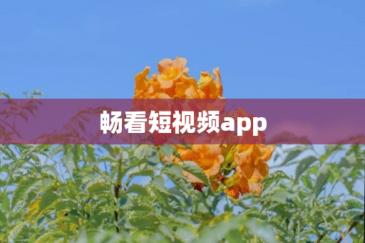 畅看短视频app