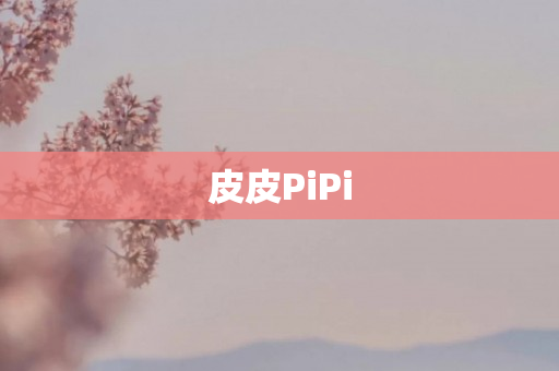 皮皮PiPi