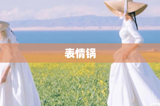 表情锅