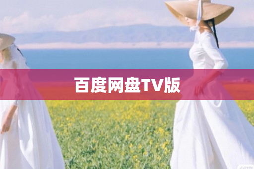 百度网盘TV版