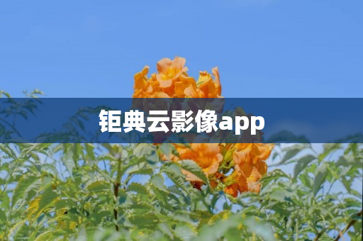 钜典云影像app