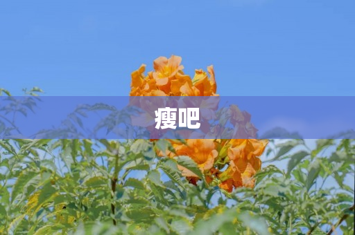 瘦吧
