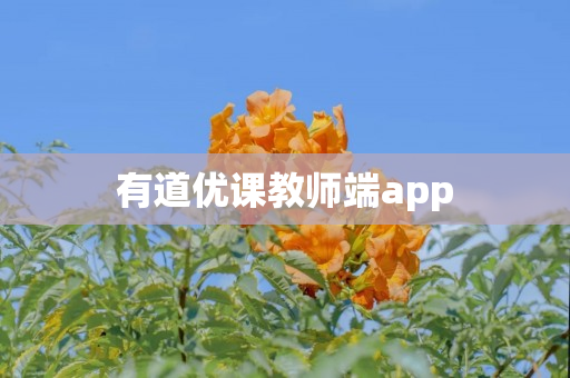 有道优课教师端app