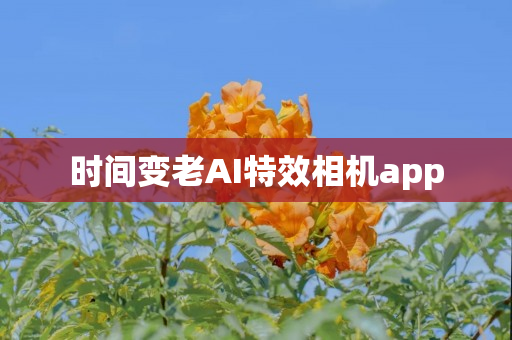 时间变老AI特效相机app
