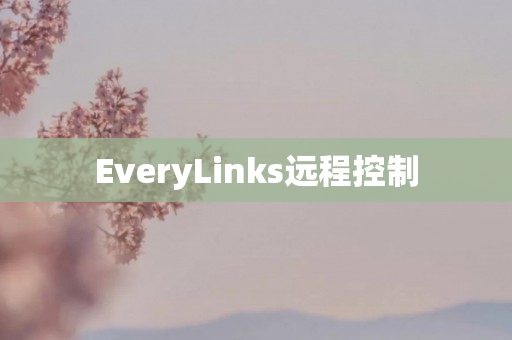 EveryLinks远程控制