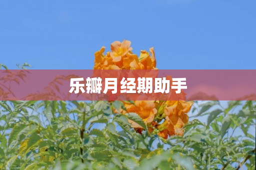 乐瓣月经期助手