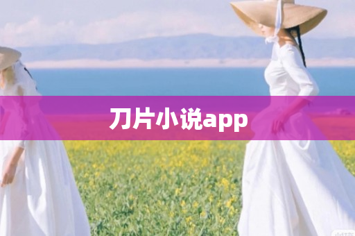刀片小说app