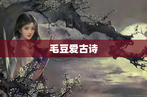 毛豆爱古诗