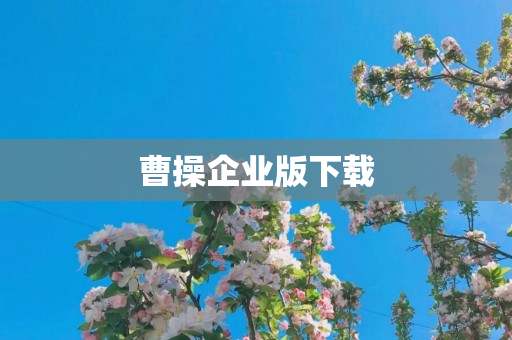 曹操企业版下载