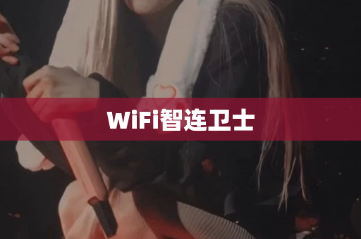 WiFi智连卫士