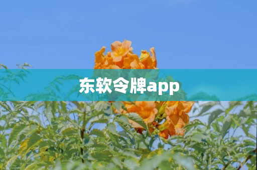 东软令牌app