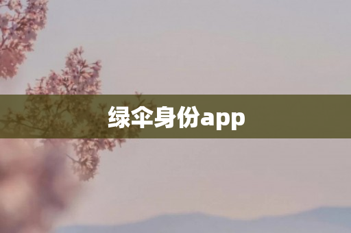 绿伞身份app