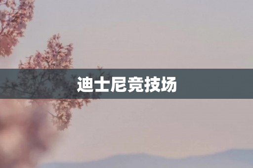 迪士尼竞技场
