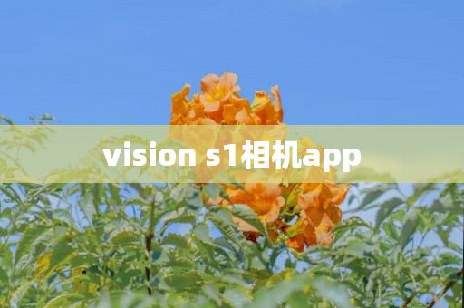 vision s1相机app