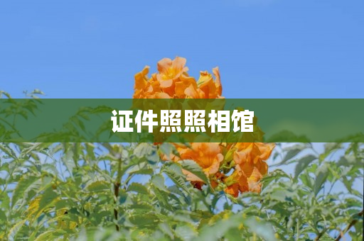 证件照照相馆