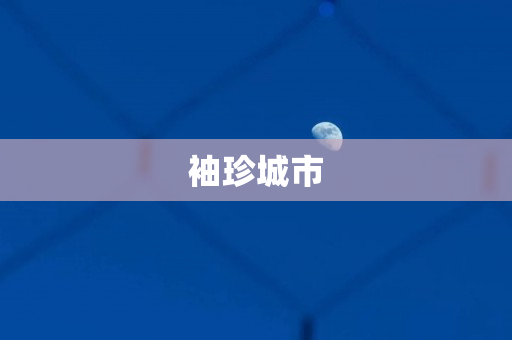 袖珍城市
