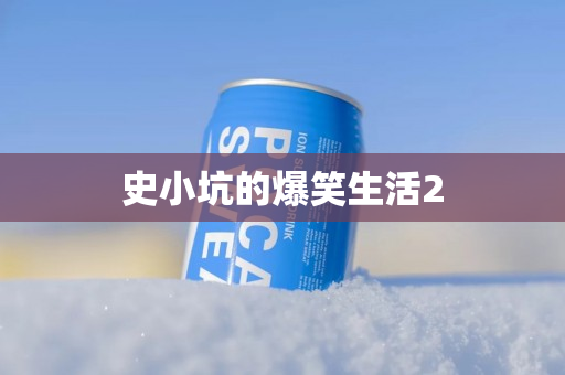 史小坑的爆笑生活2