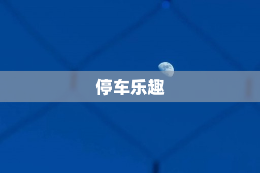 停车乐趣