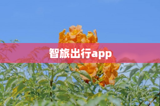 智旅出行app