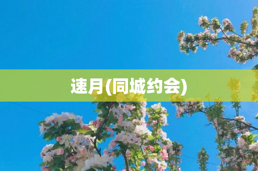 速月(同城约会)
