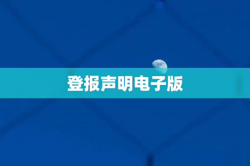登报声明电子版