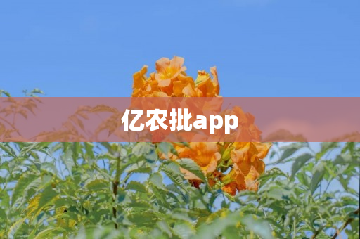 亿农批app
