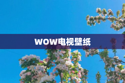 WOW电视壁纸