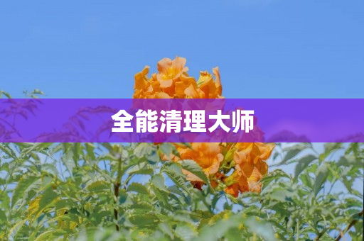 全能清理大师