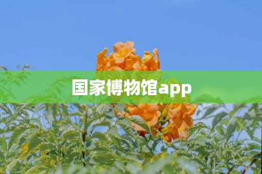 国家博物馆app