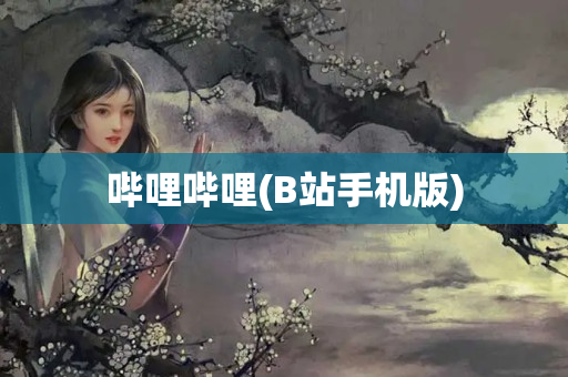 哔哩哔哩(B站手机版)