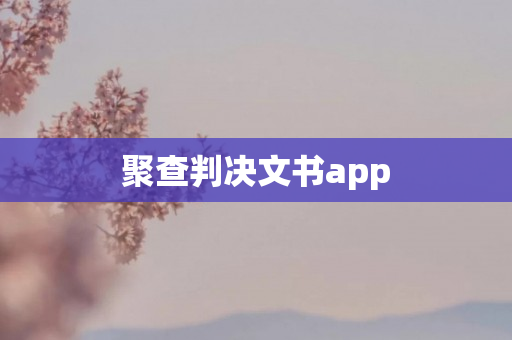 聚查判决文书app