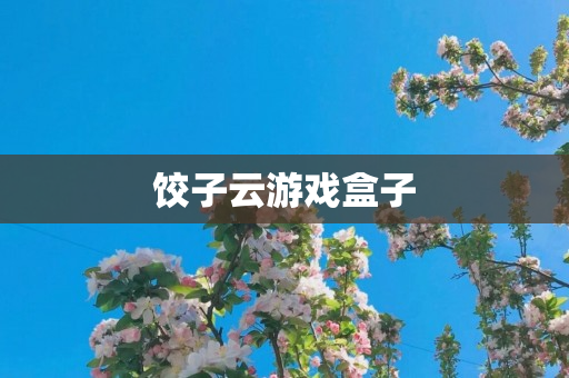 饺子云游戏盒子