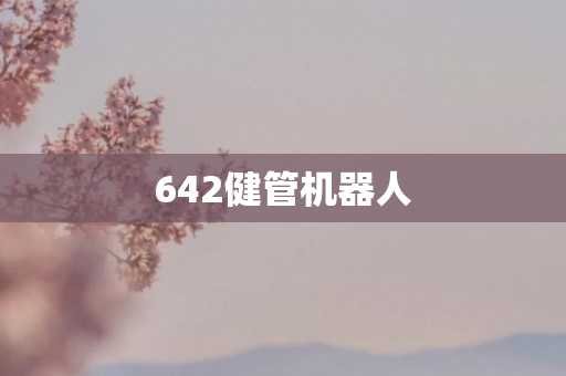 642健管机器人