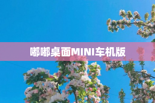 嘟嘟桌面MINI车机版