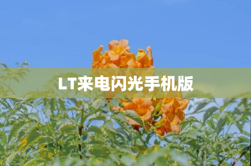 LT来电闪光手机版