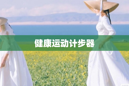 健康运动计步器