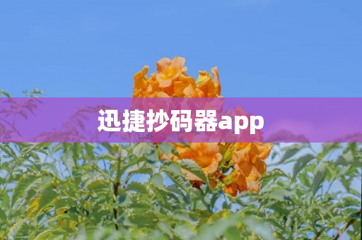 迅捷抄码器app