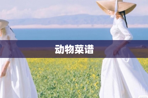 动物菜谱
