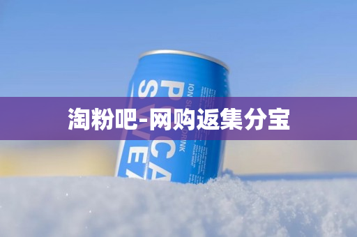 淘粉吧-网购返集分宝