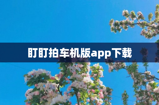 盯盯拍车机版app下载