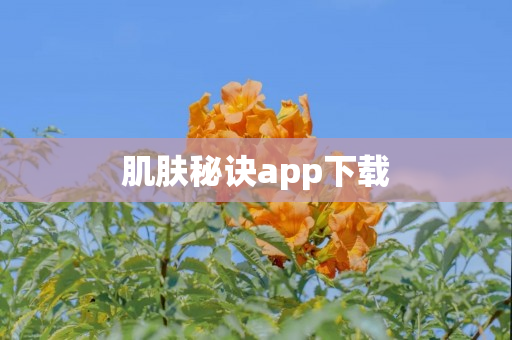 肌肤秘诀app下载