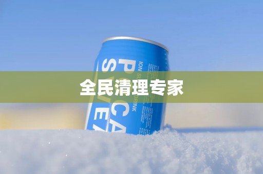 全民清理专家